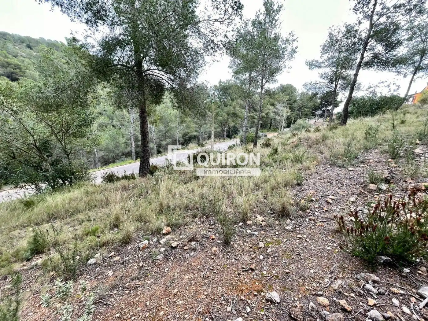 Rural land for sale in La Bisbal del Penedès, imagen 2