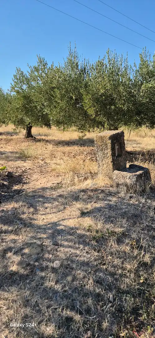 Terreno rústico en venta en Murillo de Río Leza, imagen 3