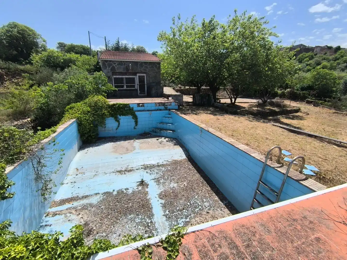 Piscina de Finca rústica en venda en Freginals amb Piscina