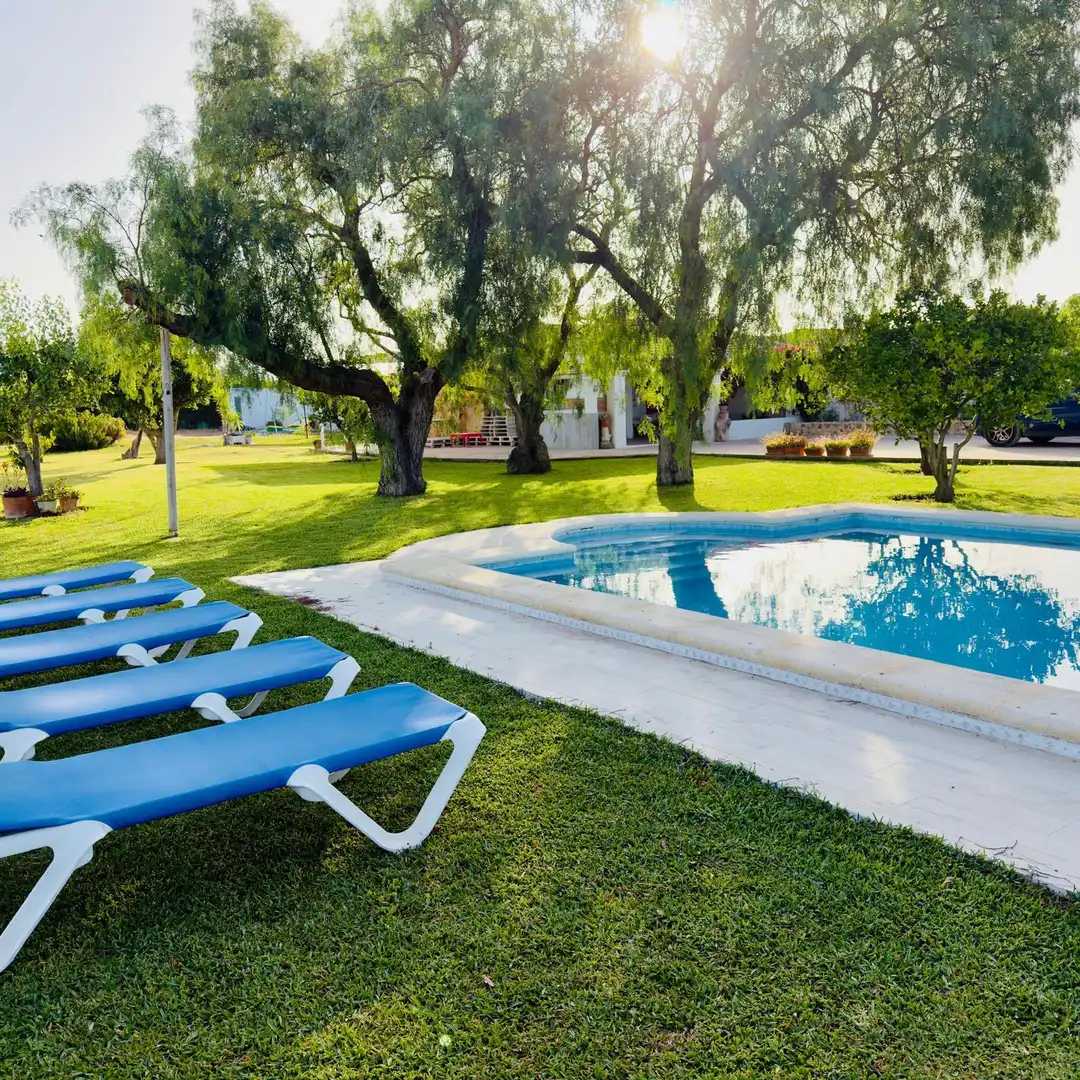 Piscina de Casa o xalet en venda en Puerto Real amb Piscina