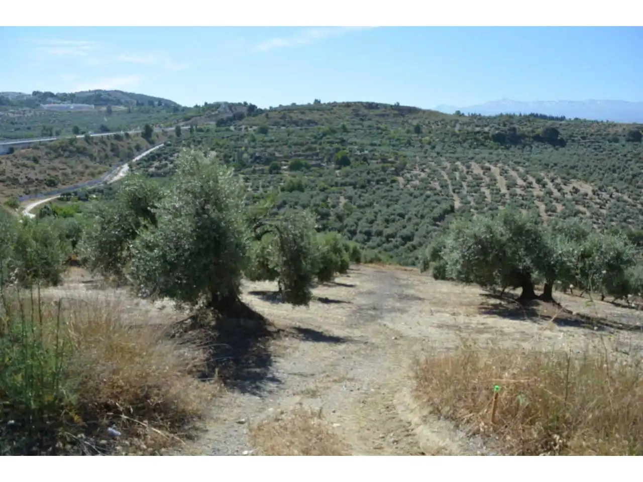 Lands and plots for sale in Plaza Iglesia 1, imagen 12