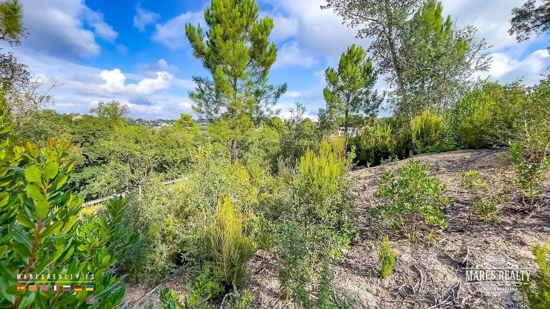 Lands and plots for sale in Lloret Blau - La Creu de Lloret, imagen 13