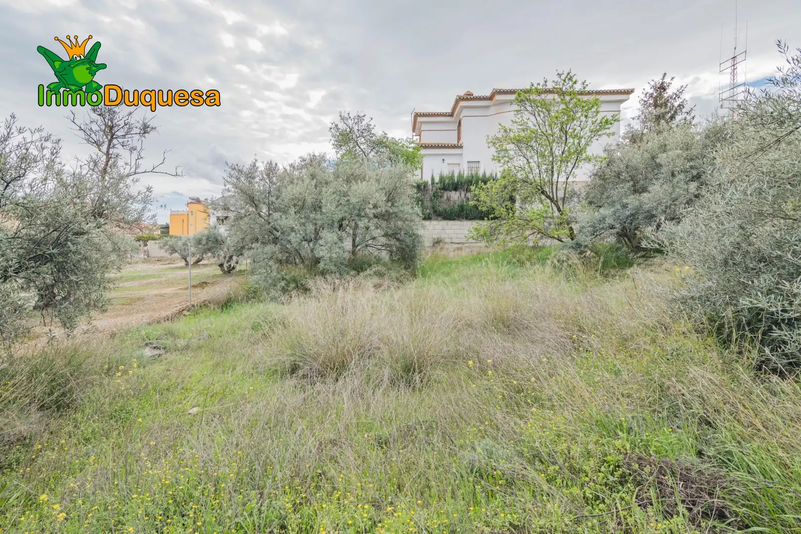 Terreni e lotti in vendita a Cúllar Vega, imagen 12