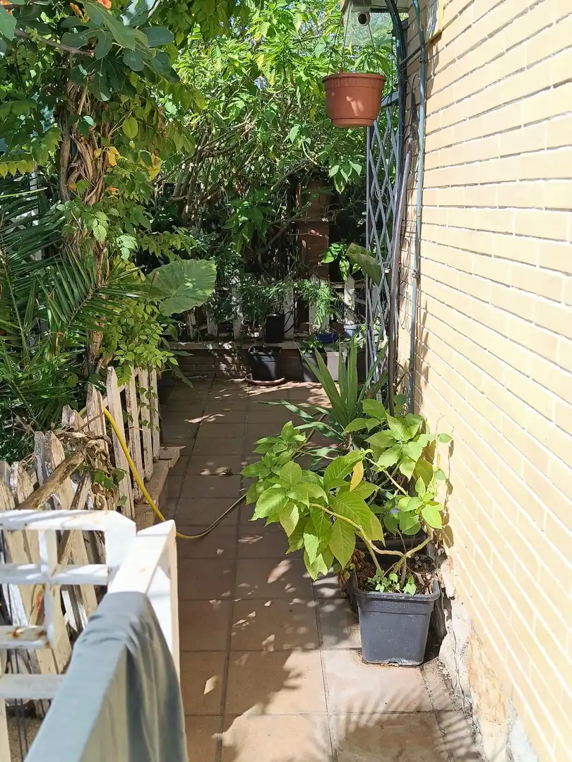 Terraza de Casa o chalet en venta en Abrera, Barcelona