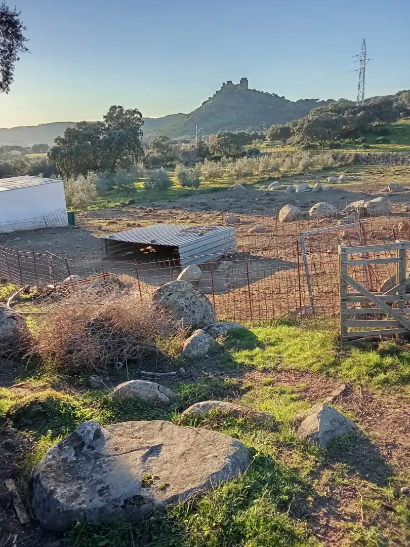 Terreni e lotti in vendita a Burguillos del Cerro, imagen 27