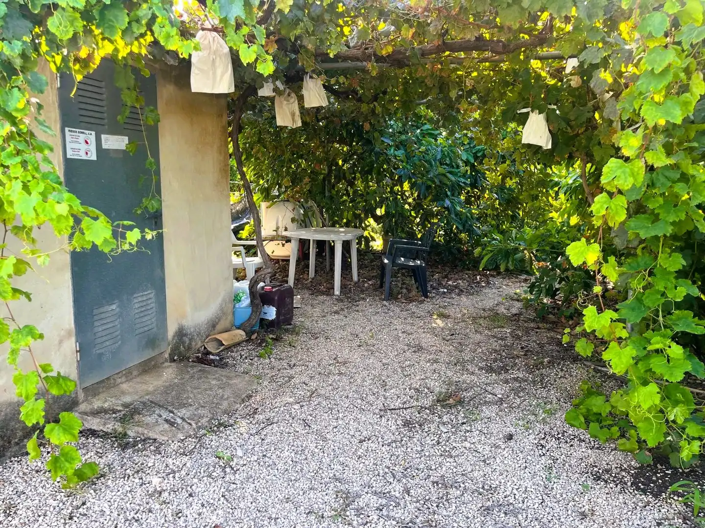 Jardí de Residencial en venda en Pego