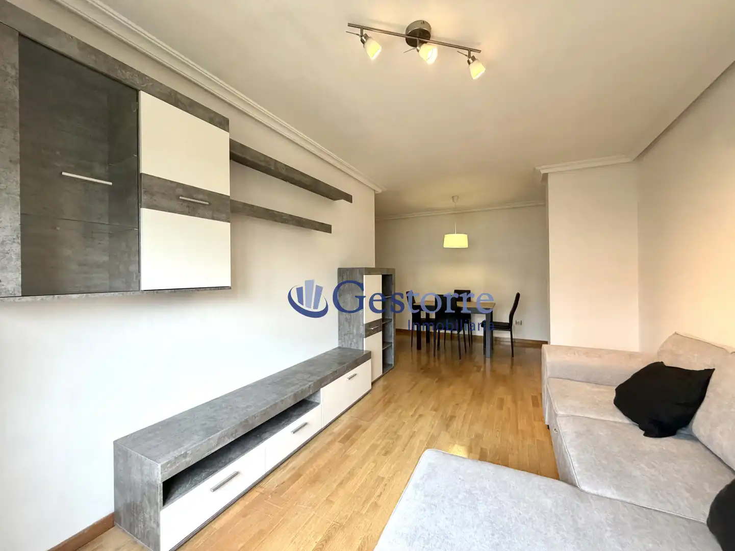 Sala d'estar de Pis de lloguer en Oviedo  amb Calefacció, Parquet i Terrassa