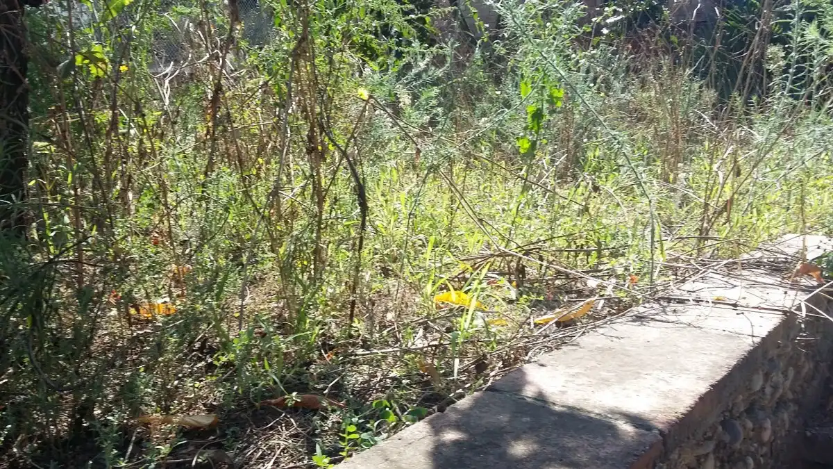 Lands and plots for sale in Can Rial, imagen 8