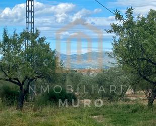 Country house zum verkauf in Muro de Alcoy