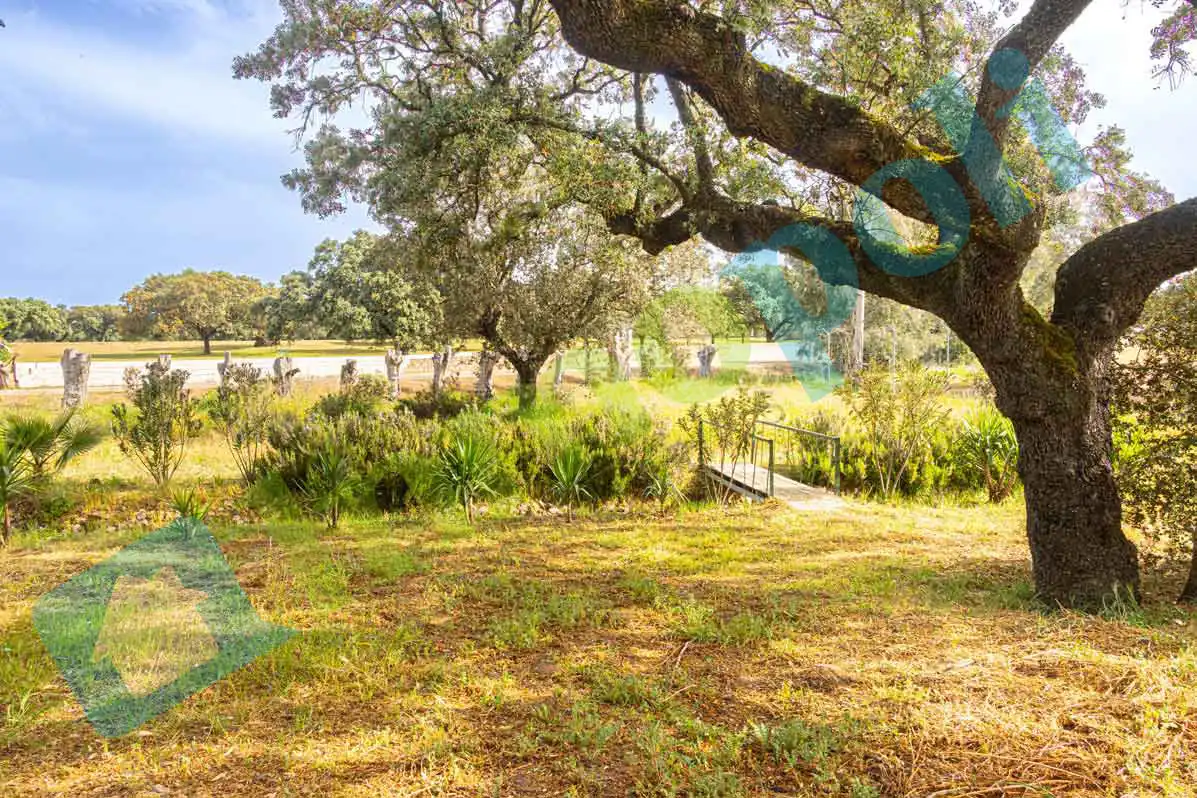 Garten von Haus oder Chalet zum Verkauf in Badajoz mit Klimaanlage und Abstellraum