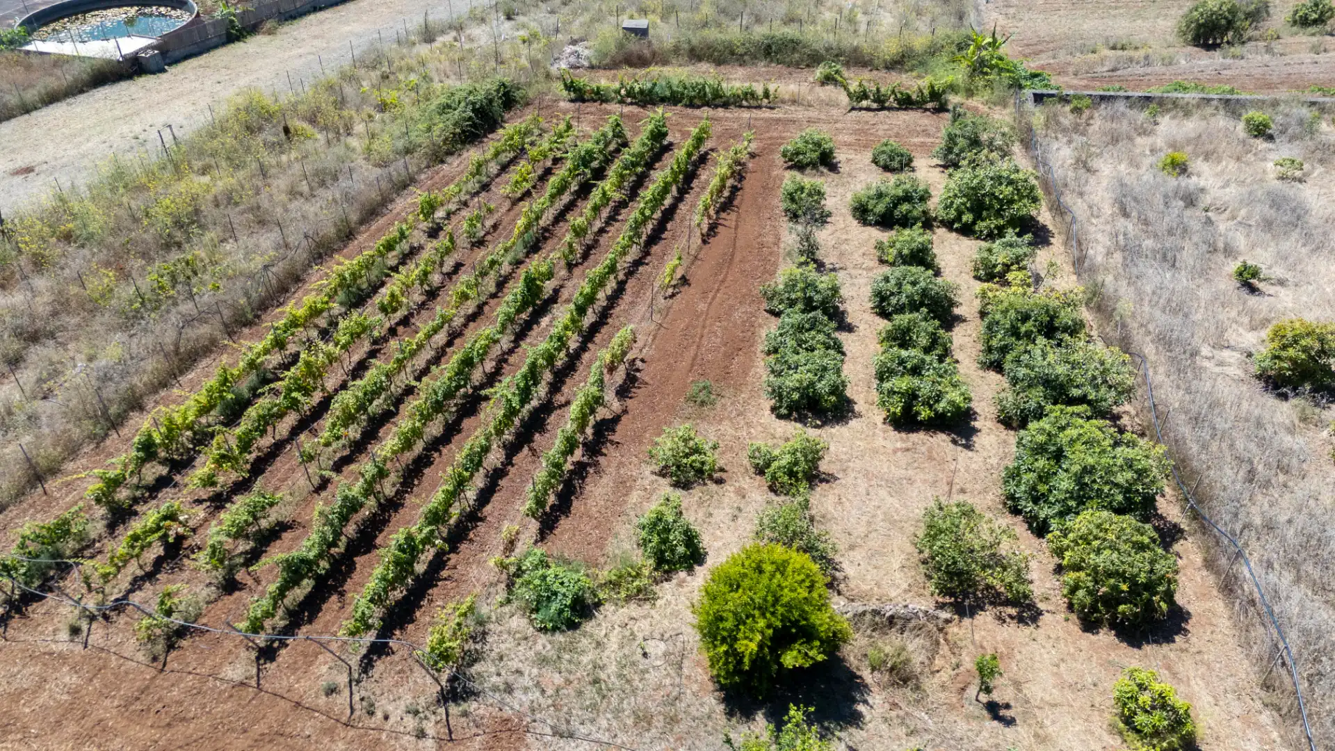 Casa o xalet en venda en Tacoronte amb Jardí privat, Terrassa i Balcó