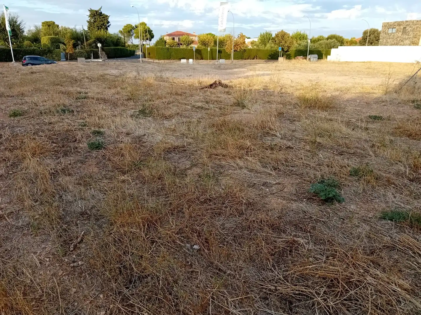 Terrenys i solars en venda a Ciudad Jardín, imagen 16