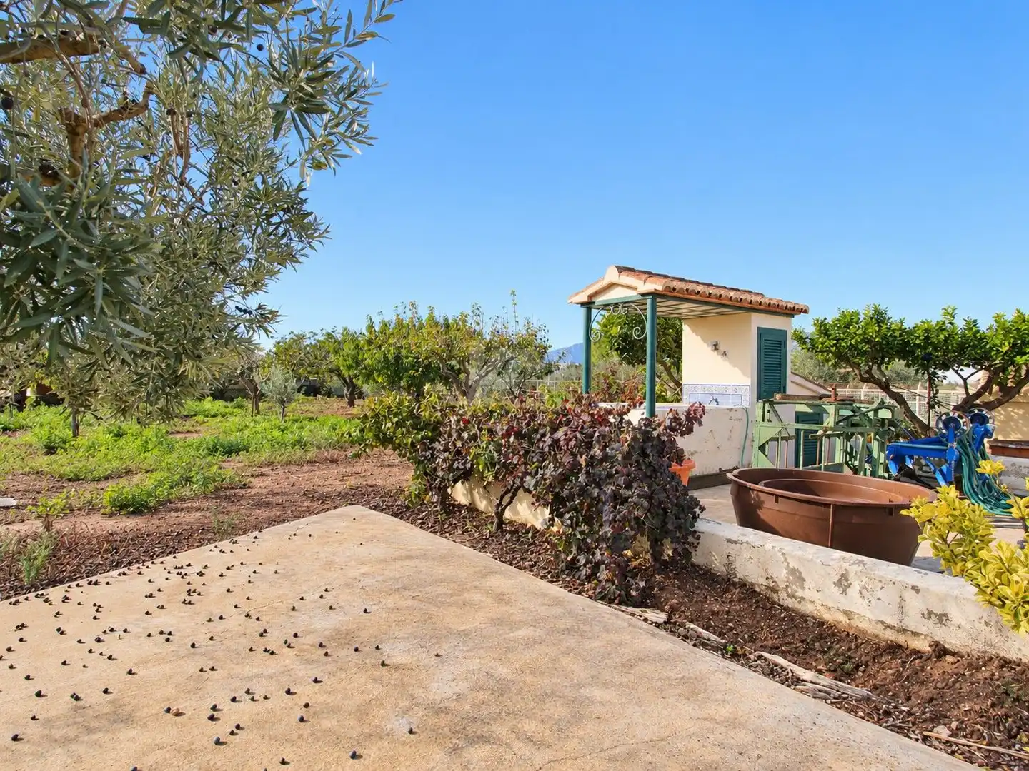 Finca rústica en venta en Benissa pueblo  