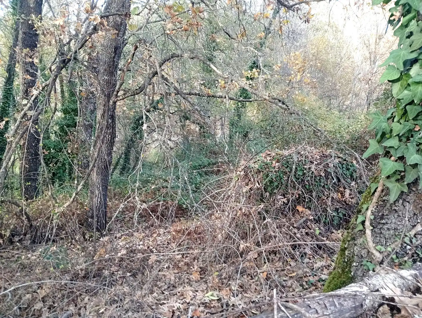 Terreni e lotti in vendita a Viandar de la Vera, imagen 7