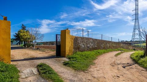 Foto 2 de Finca rústica en venda a Nueva Alcalá, Alcalá de Guadaira