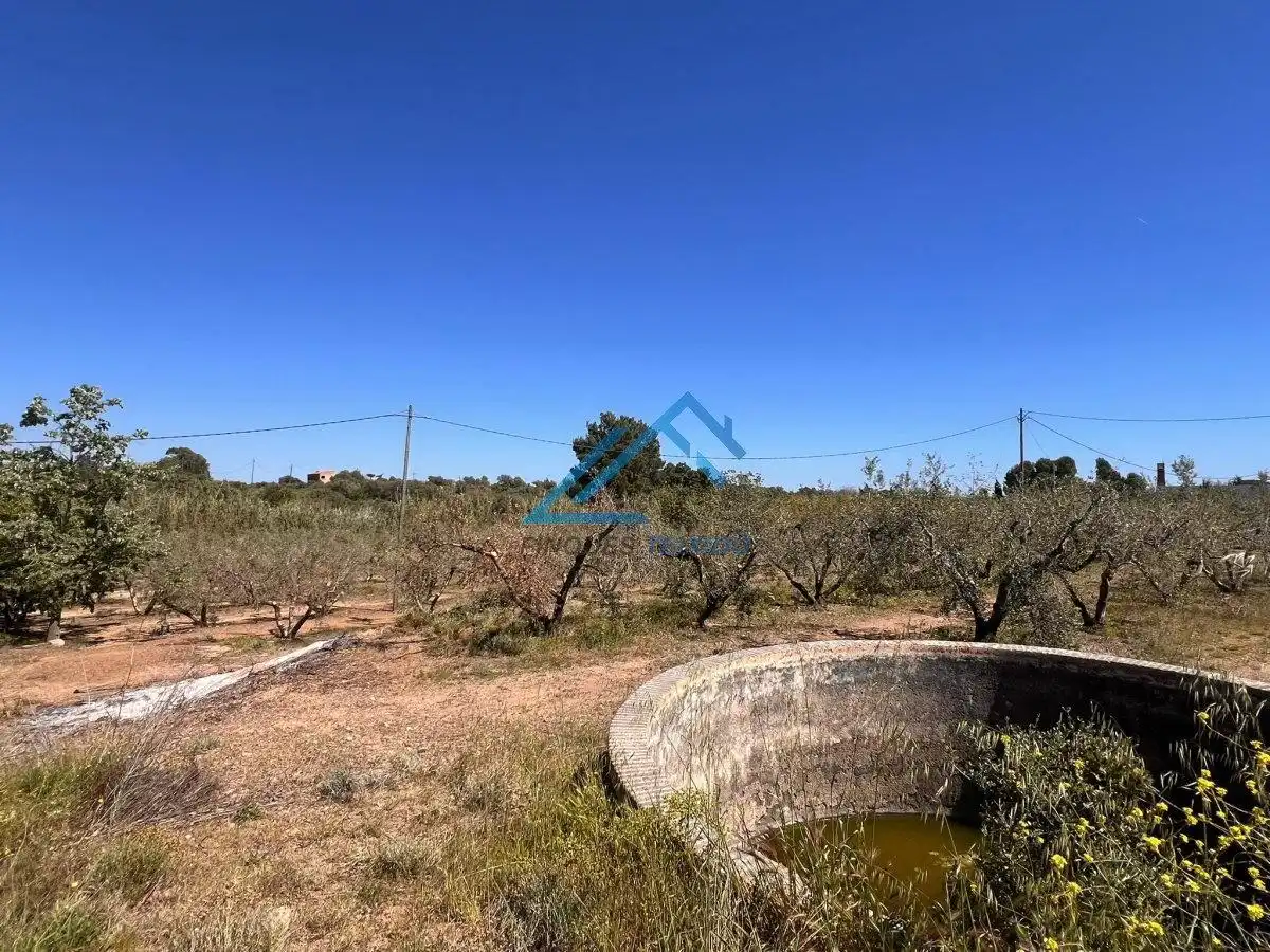 Land for sale in Vinyols i els Arcs