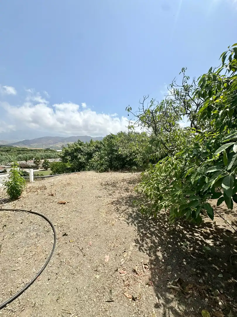 Country homes for sale in Benamocarra  with Private garden, Storage room and Swimming Pool