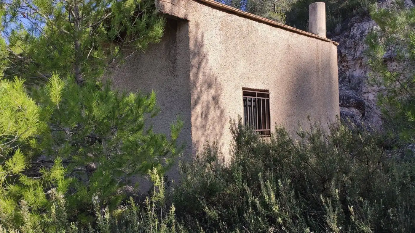 Vista exterior de Finca rústica en venta en L'Atzúbia