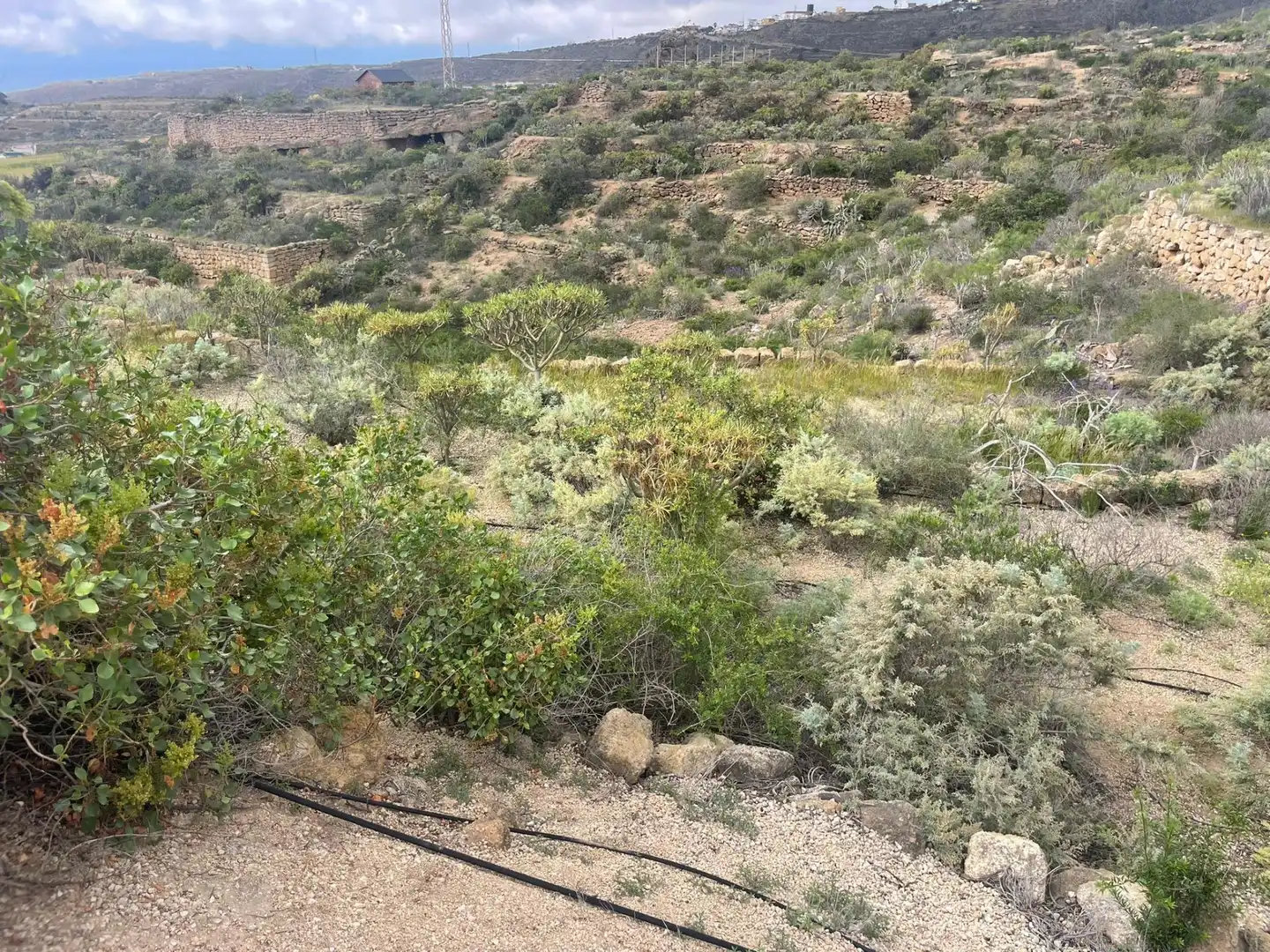 Terreno rustico in vendita a Arico, imagen 4