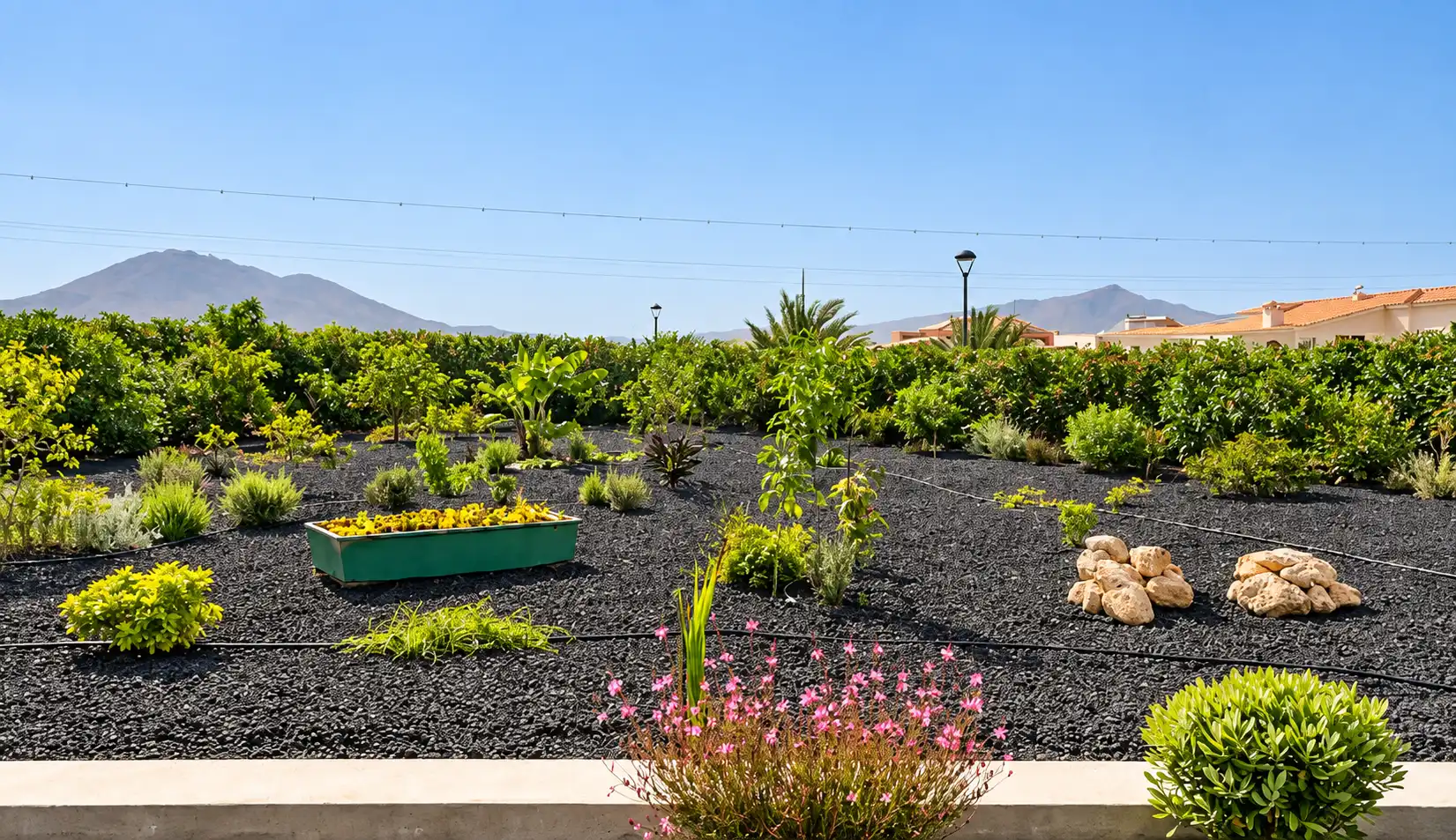 Terraza de Casa o chalet en venta en Antigua pueblo