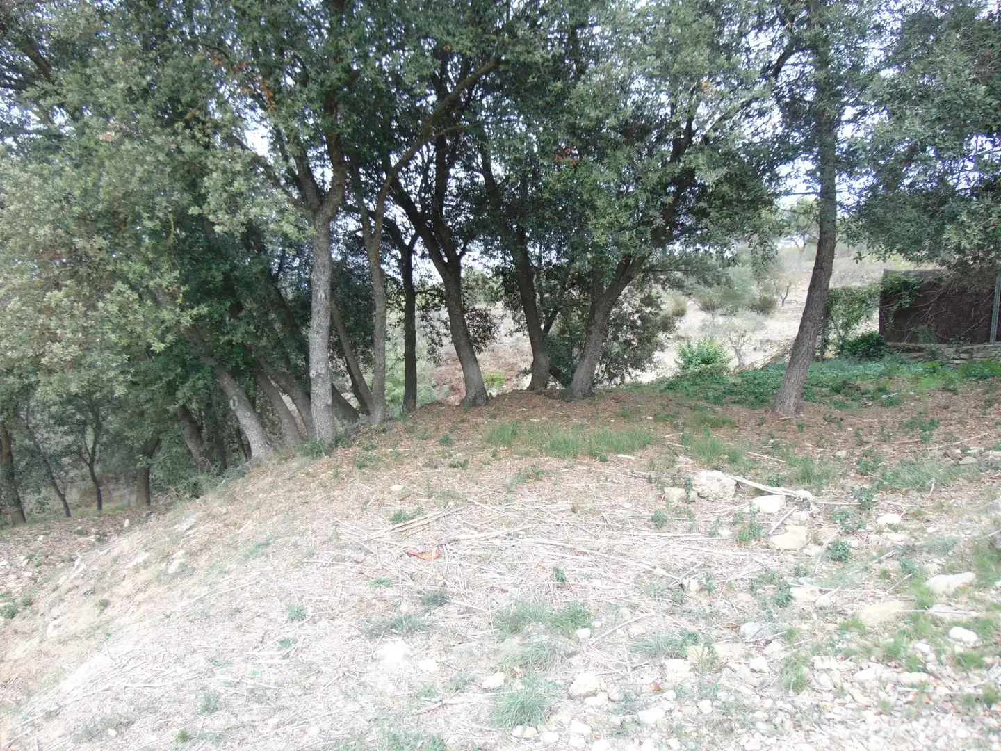 Terreny residencial en venda a de la Llebre 8, imagen 14