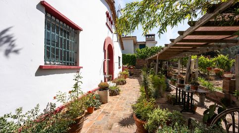 Foto 2 de Finca rústica en venda a Torrelles de Llobregat, Barcelona