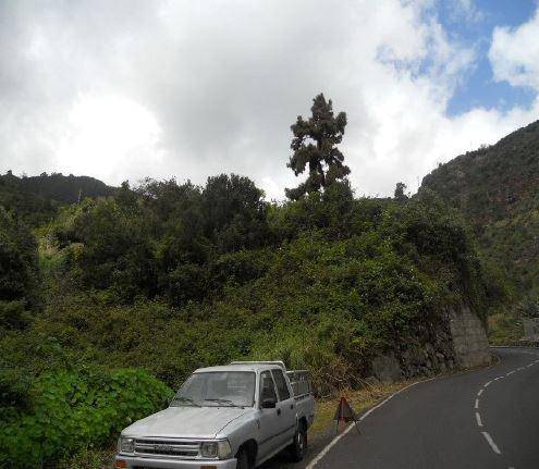 Terreno en Venta en El Palomar en San Andrés y Sauces