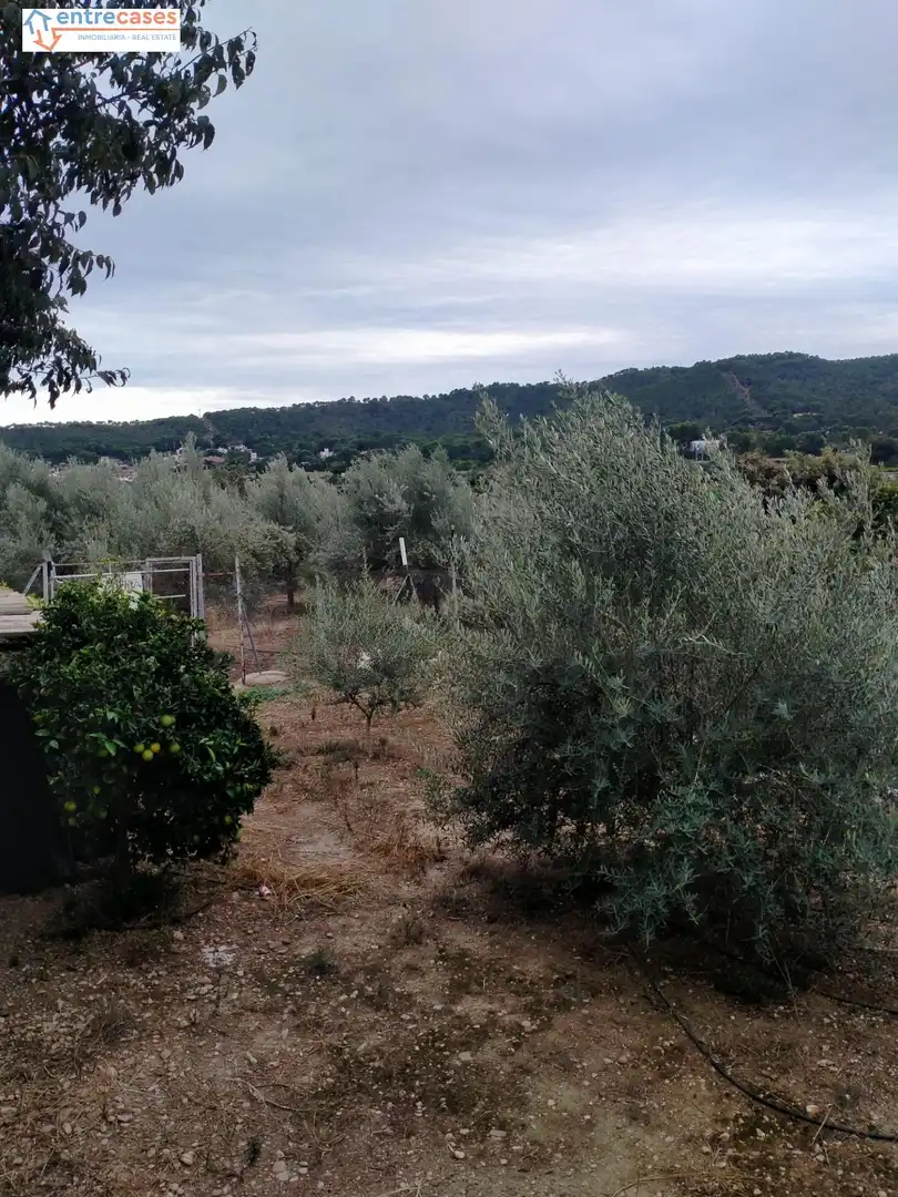 Rural land for sale in Petrés, imagen 5
