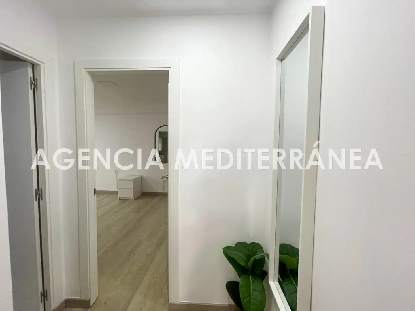 Wohnung zur Miete in Mont-Olivet