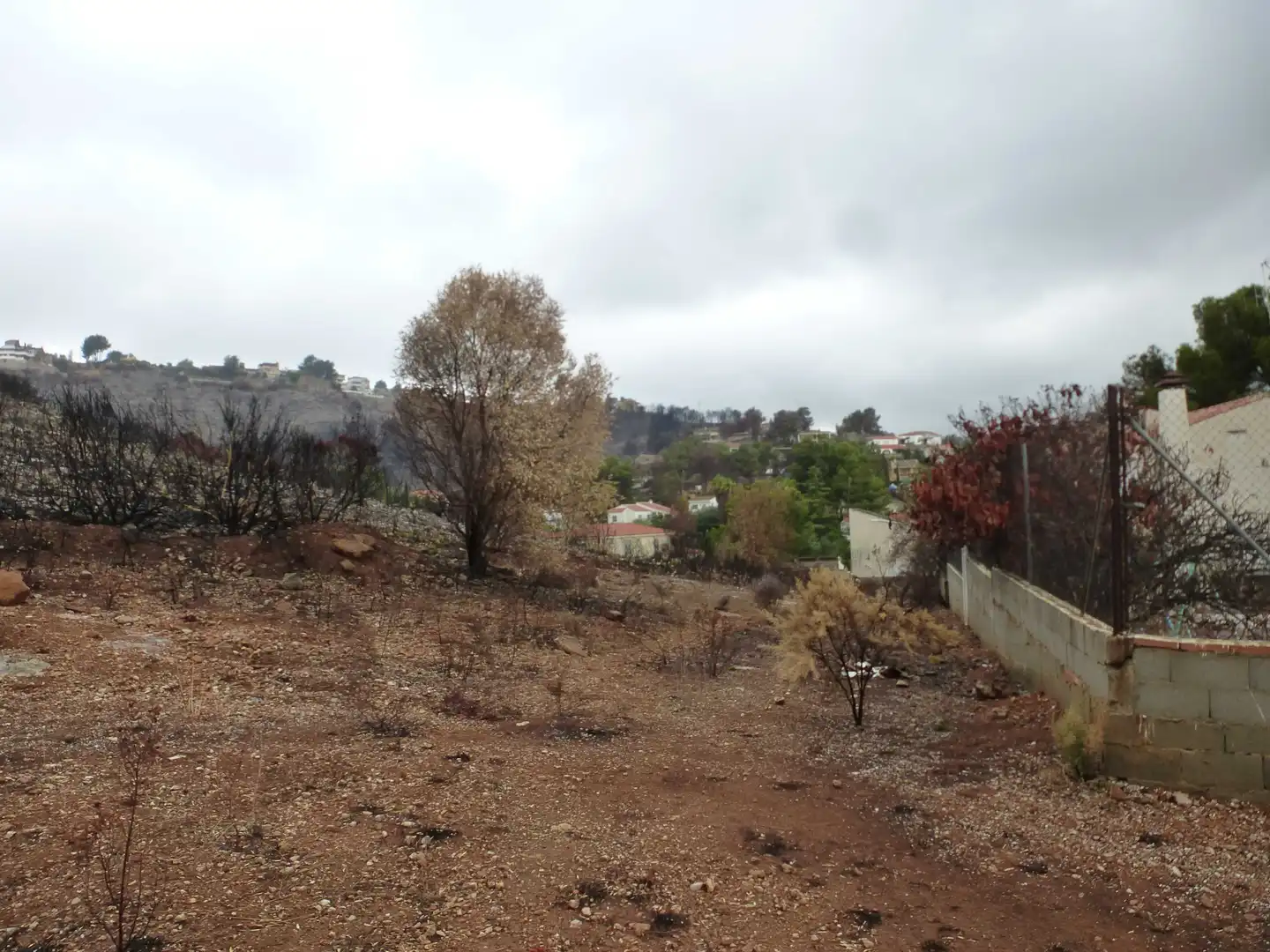 Rustikales Grundstück zum Verkauf in Urb Sierra Perenchiza, imagen 5