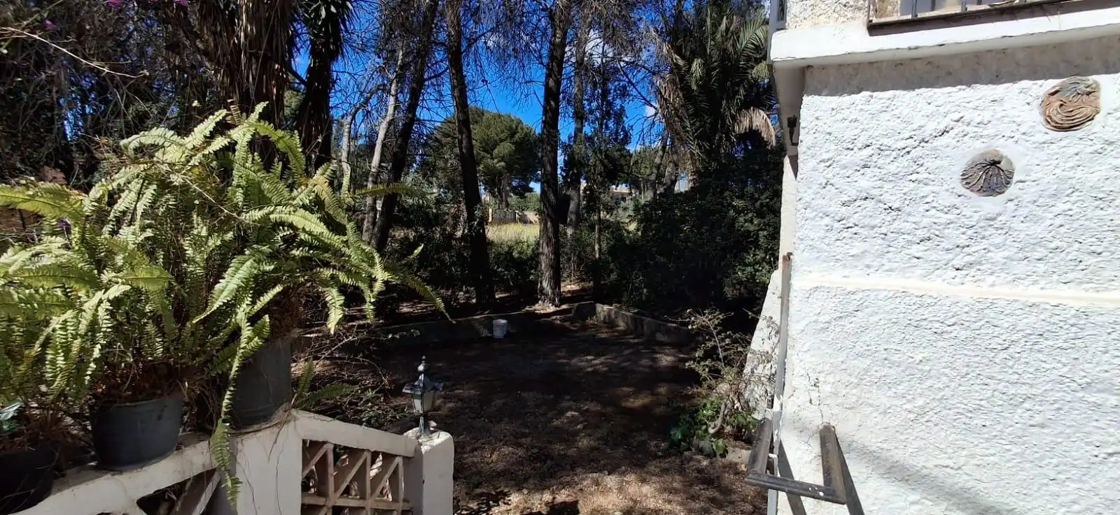 Garden of Country homes for sale in Benidorm  with Private garden, Terrace and Storage room