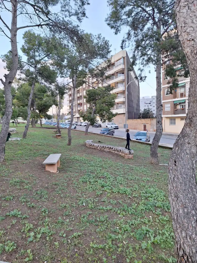 Vista exterior de Apartamento de alquiler en Moncada con Amueblado, Horno y Lavadora