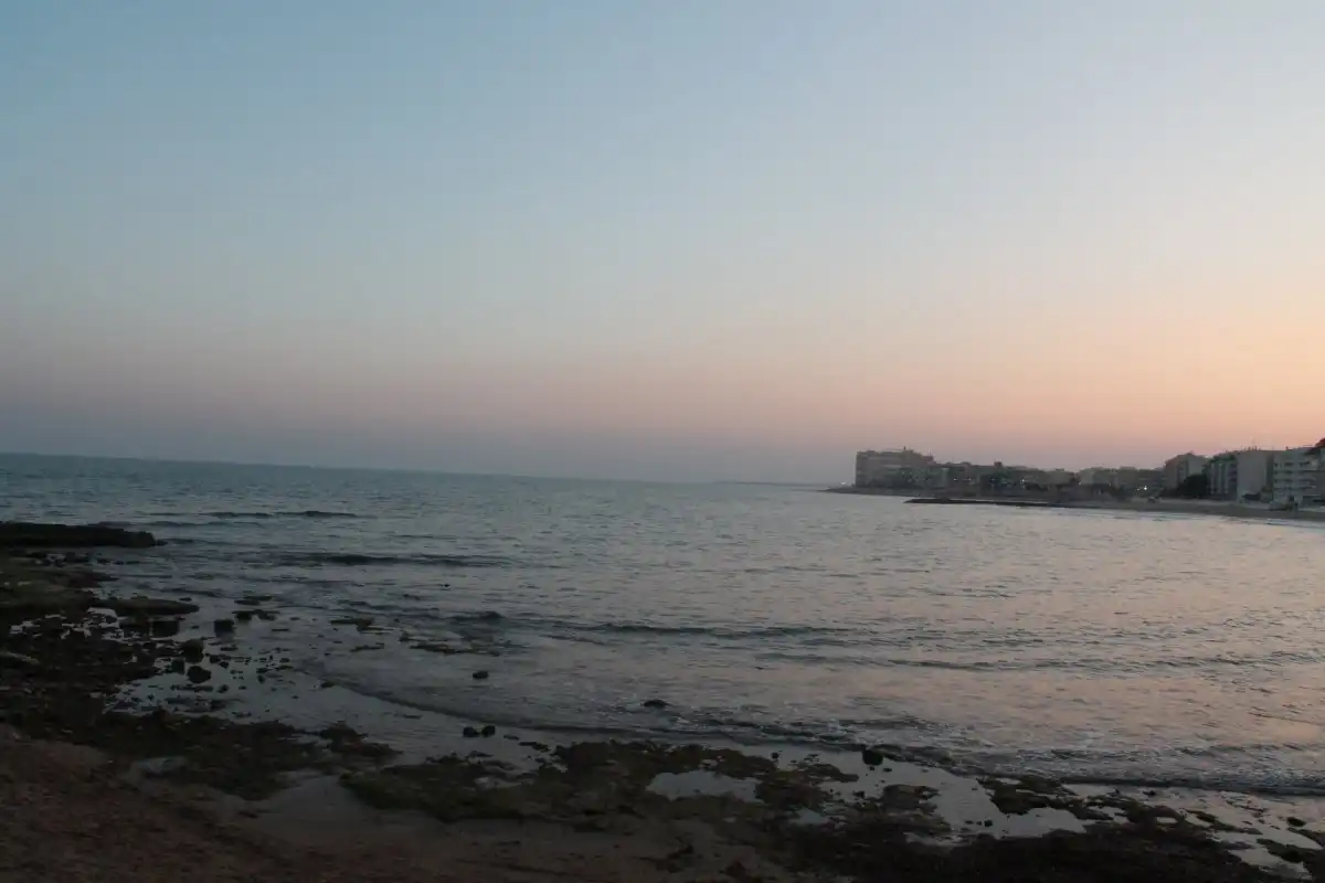 Studio with terrace to rent in Playa de los Locos, imagen 11