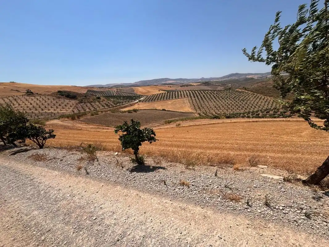 Vista exterior de Finca rústica en venda en El Saucejo amb Aire condicionat, Calefacció i Moblat