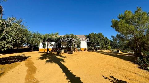 Foto 3 de Finca rústica en venta en Mairena del Alcor, Sevilla