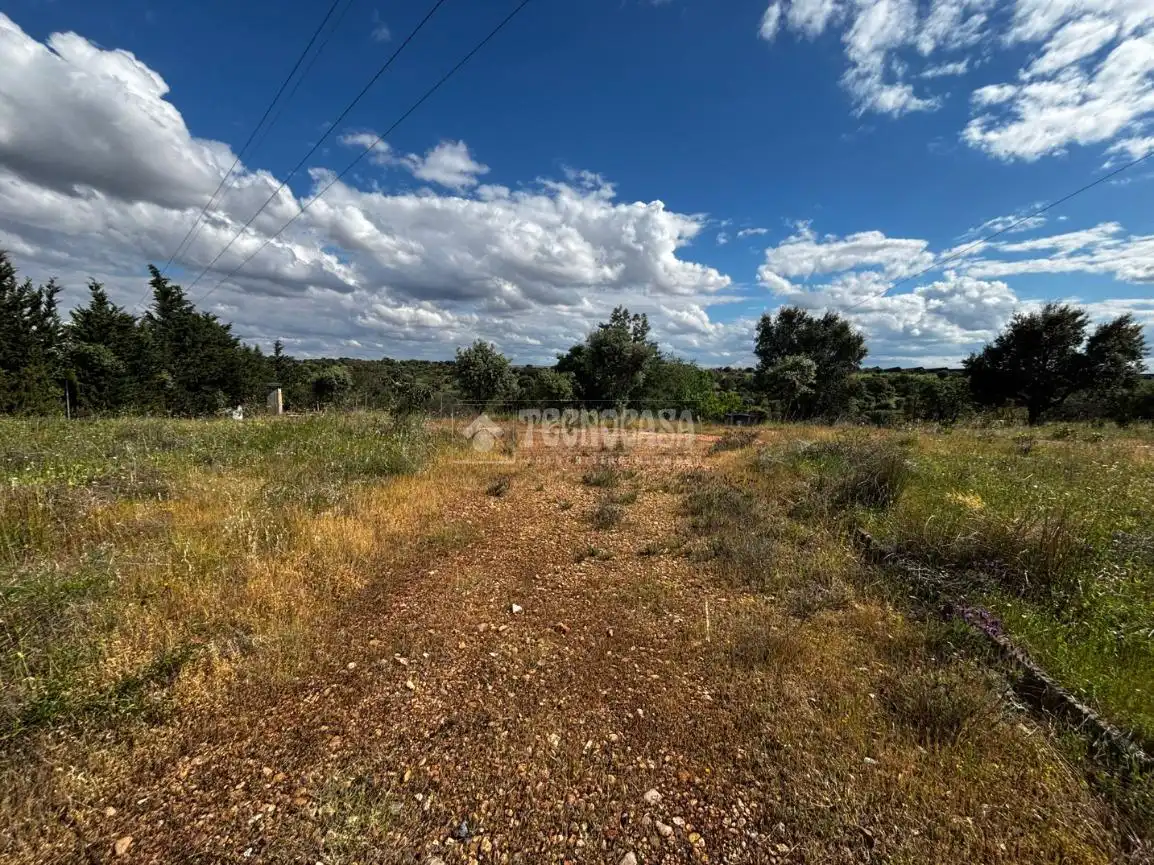 Finca rústica en venta en Carretera de Sevilla - Los Montitos