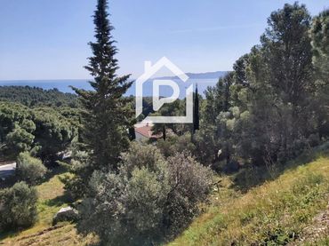Terreno rustico in vendita a Almogavers