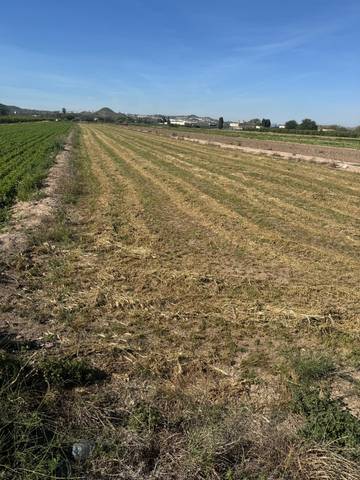 Terreno en Venta en Partida la Capitana en El Edén