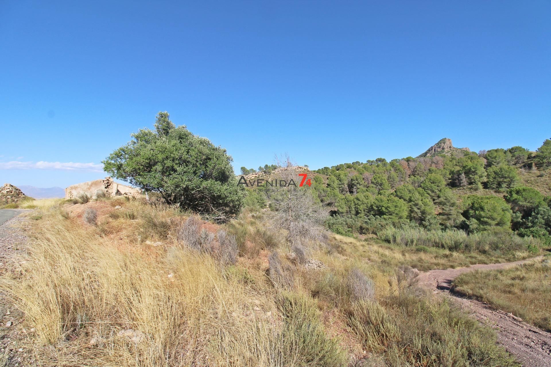 Finca rústica en venda en Lorca