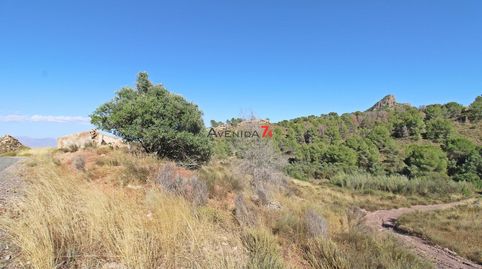 Photo 3 of Country homes for sale in Parrilla, Lorca