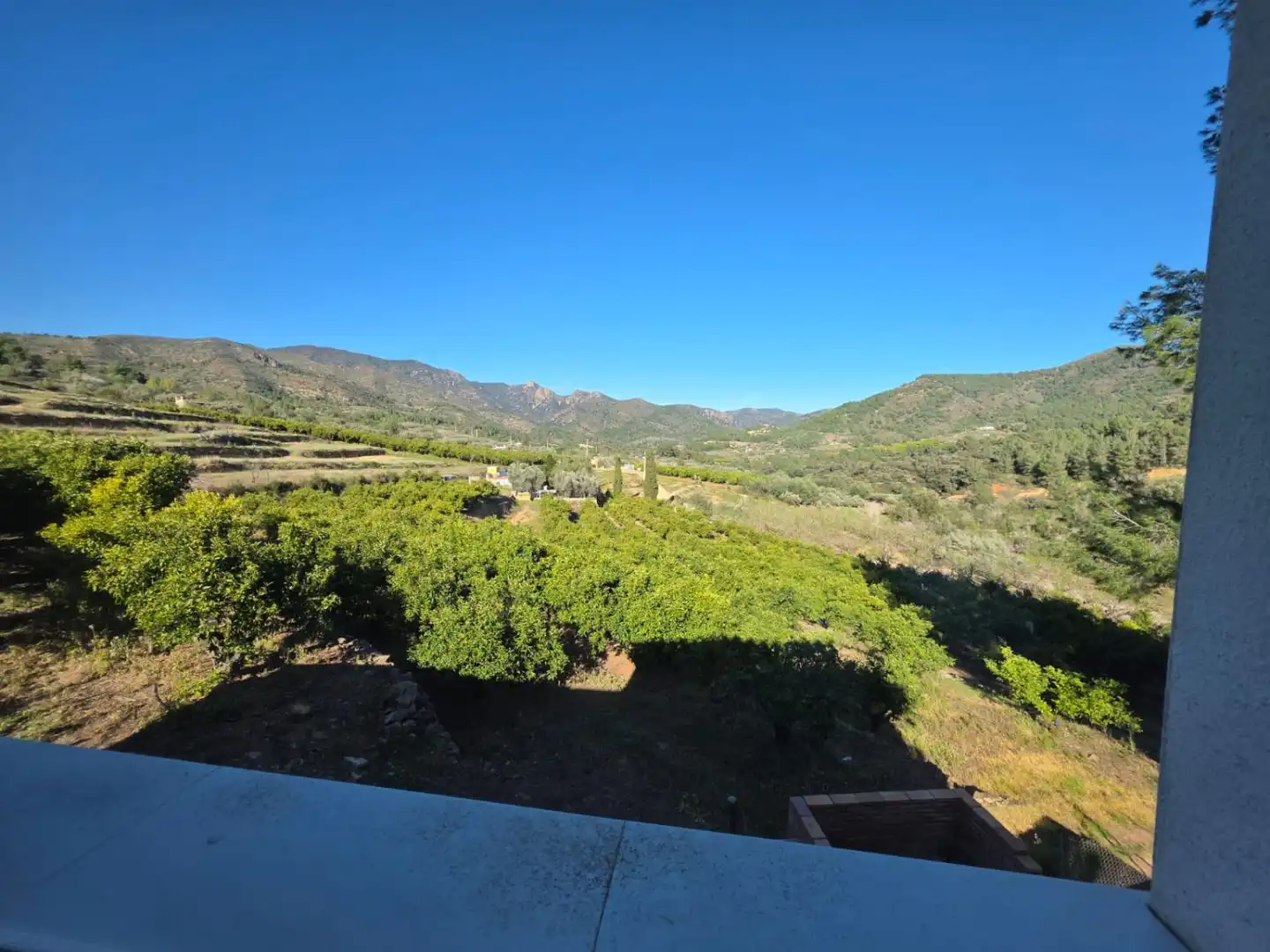 Vista exterior de Casa o xalet en venda en Alfondeguilla amb Calefacció, Jardí privat i Traster