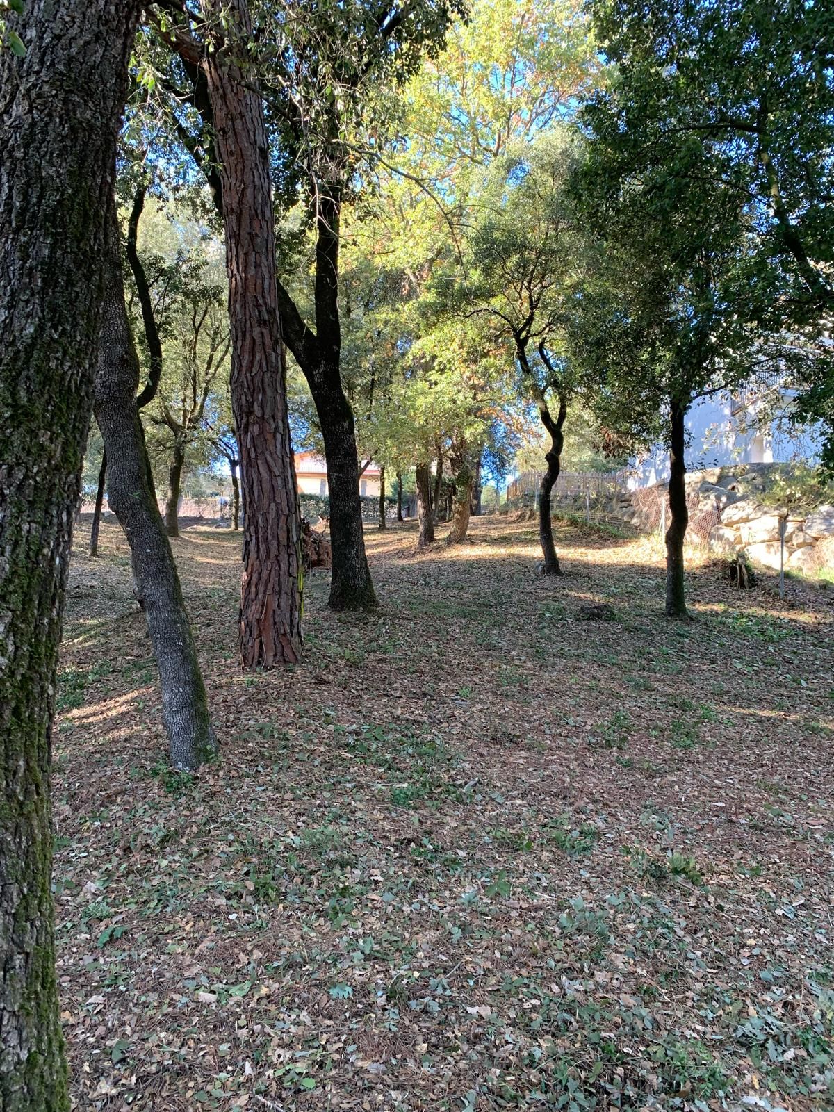 Residencial en venta en Sant Pere de Vilamajor
