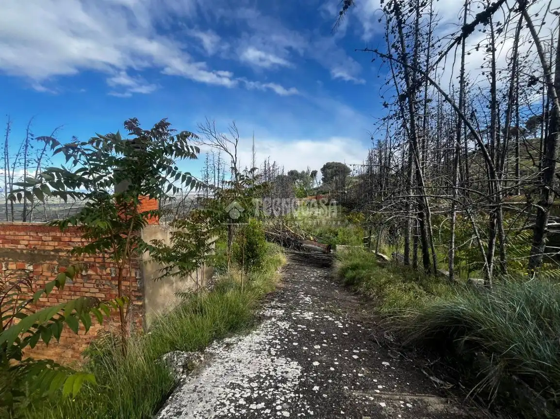 Land for sale in Borja