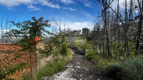 Photo 5 of Land for sale in Borja, Zaragoza