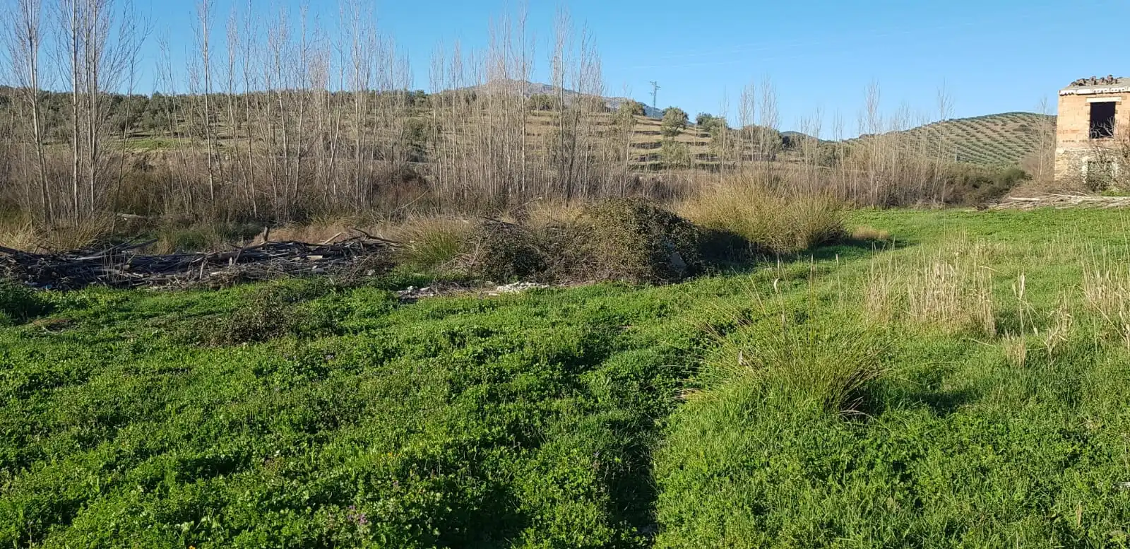 Terreni e lotti in vendita a Alcaudete, imagen 7