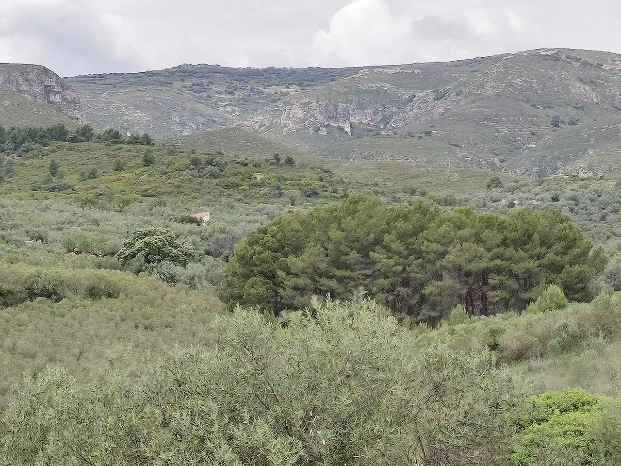 Finca rústica en venta en La Sénia con Terraza