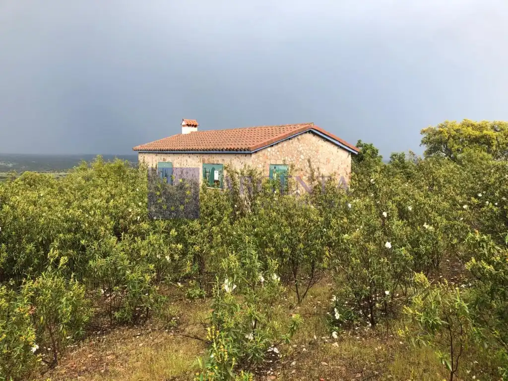Finca rústica en venta en Aliseda
