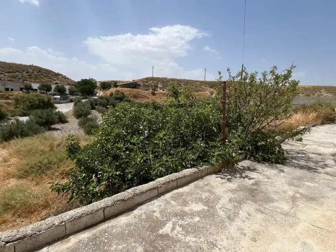 Finca rústica en venda en Castilléjar