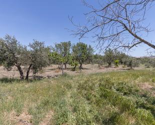 Land for sale in  Granada Capital