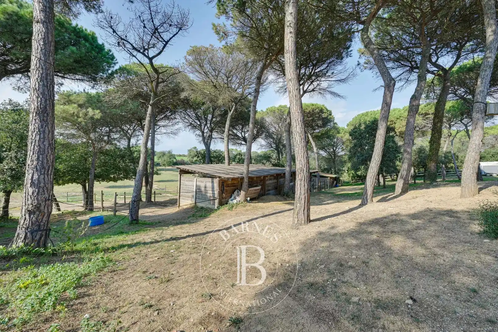 Country homes for sale in Montbarbat